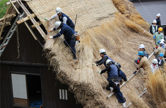 白川郷の破風のツケガヤの写真