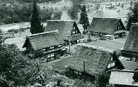 史跡指定前の菅沼集落（1959年頃）の写真