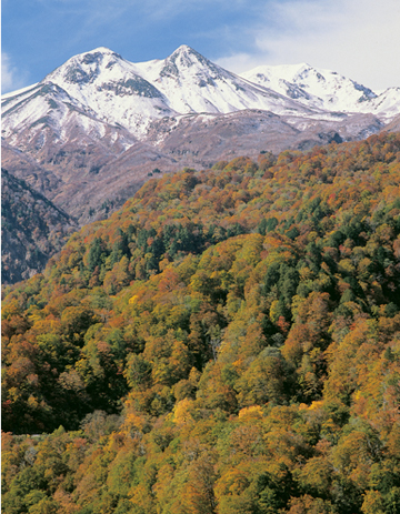 白山の風景写真