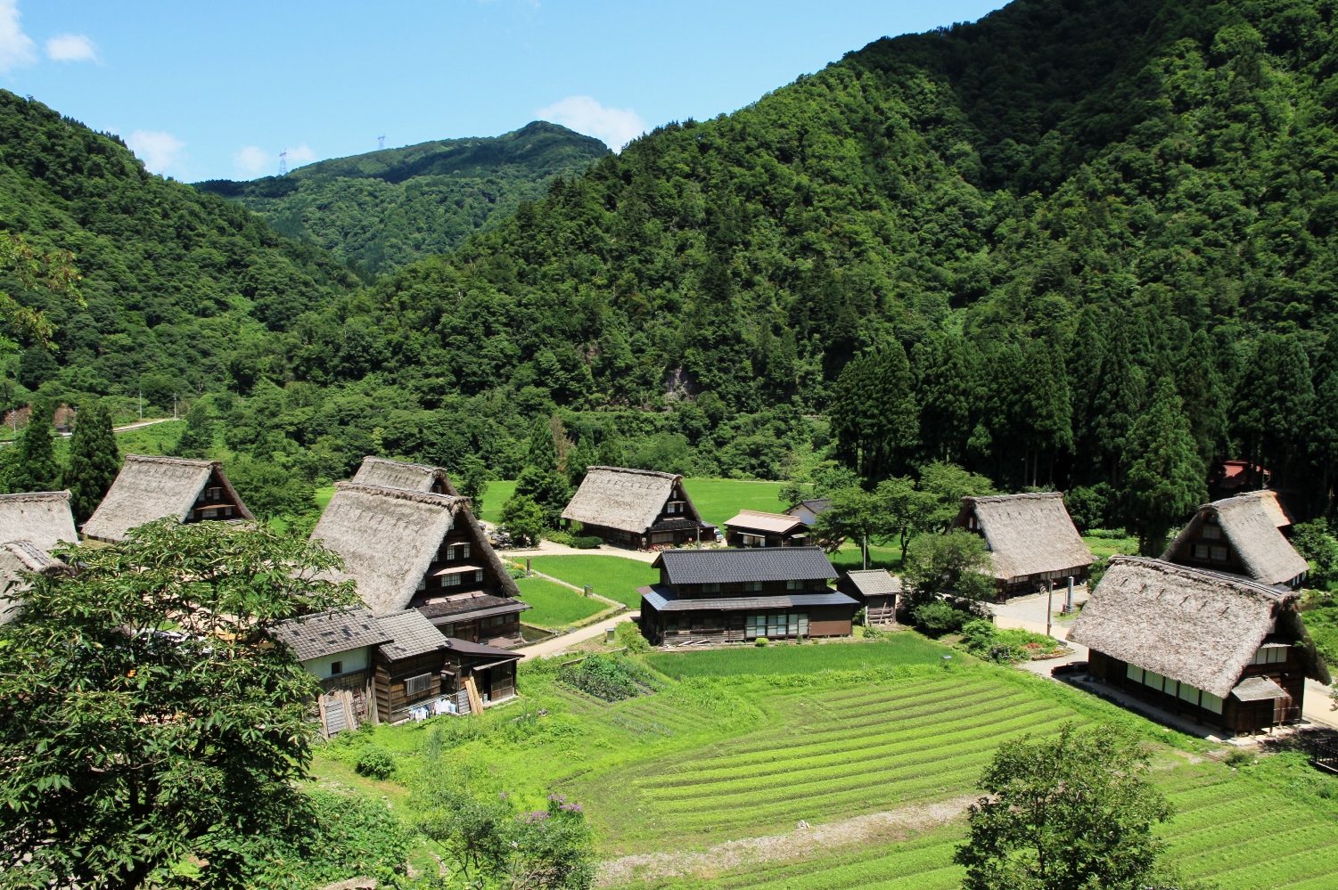 五箇山菅沼集落の風景