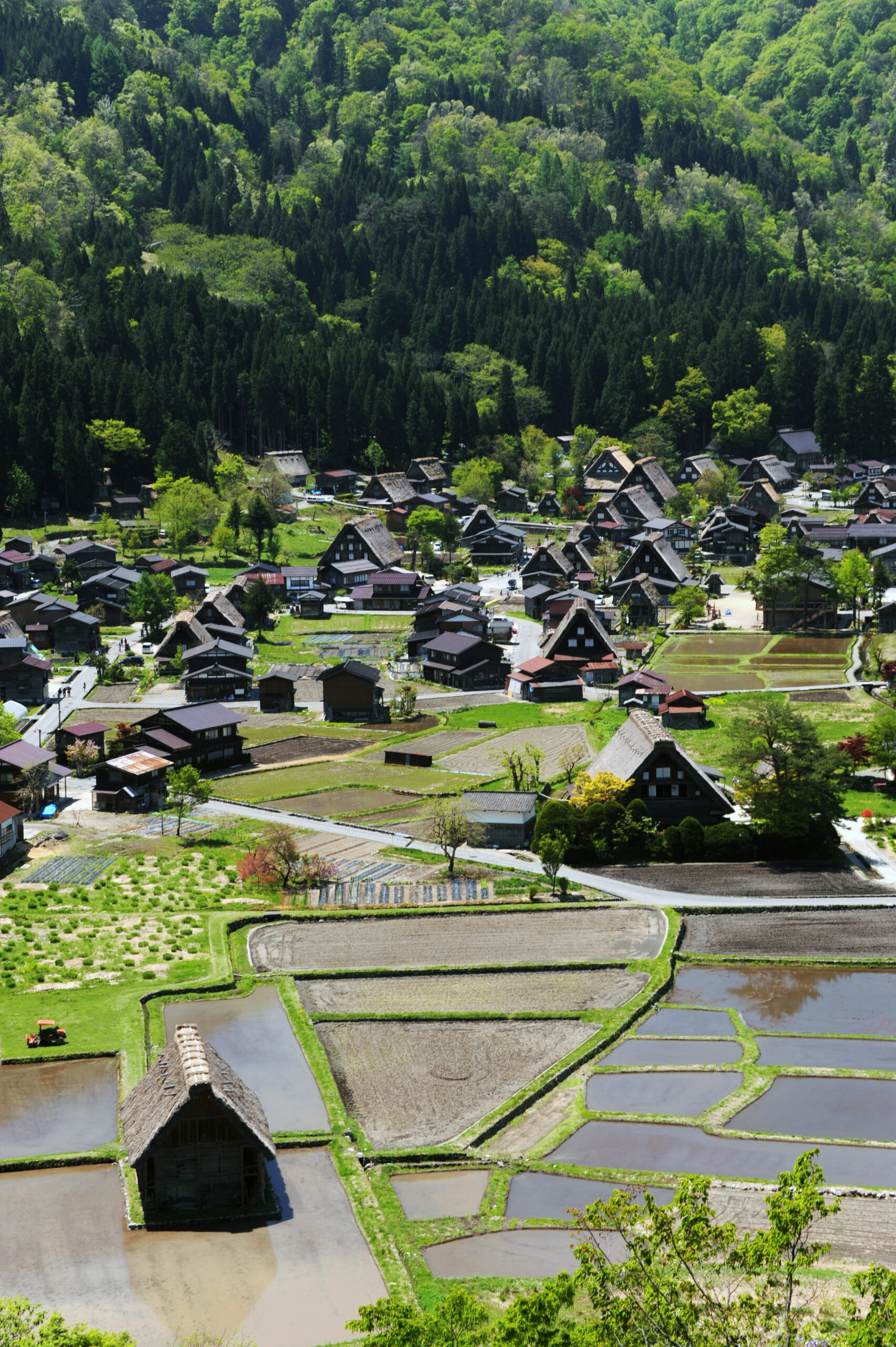 白川郷荻町集落の耕作地と水路