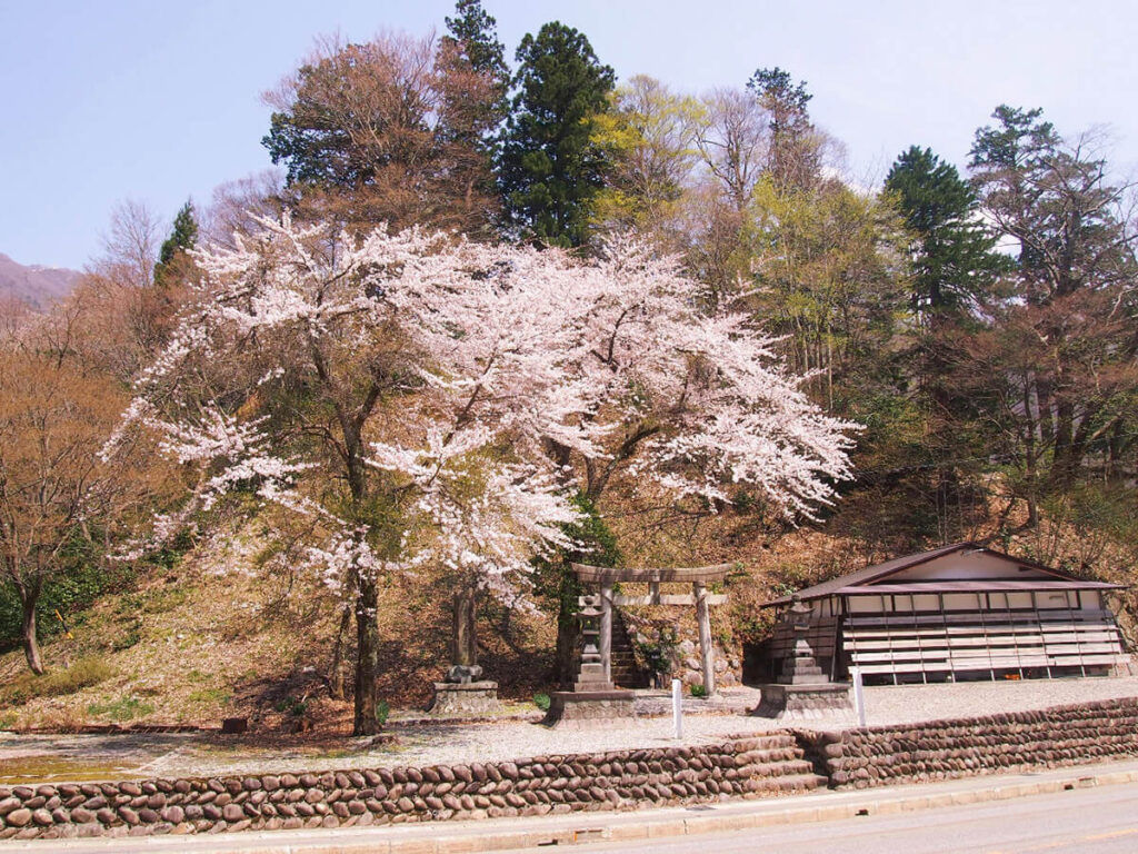 御母衣白山神社の外観