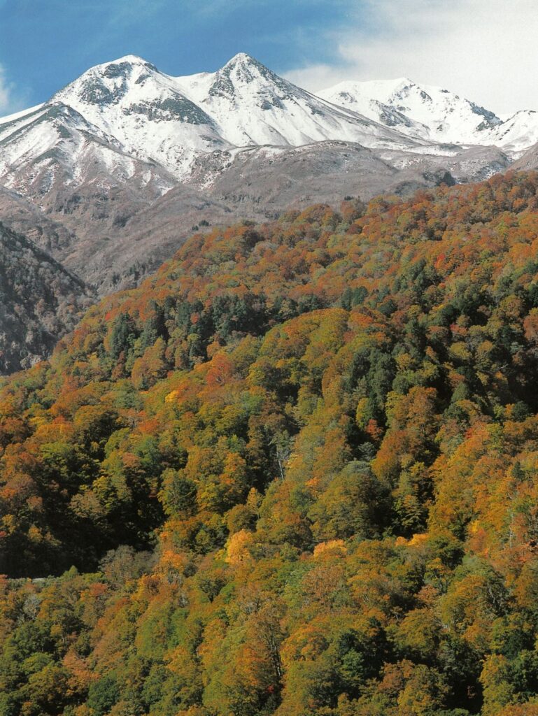 白山