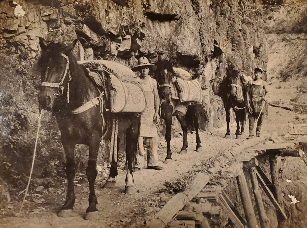 平瀬登拝道の写真②