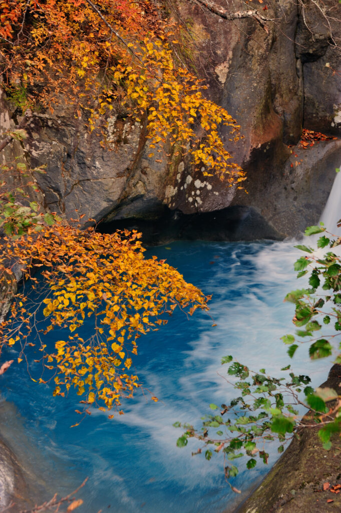 大白川の写真⑤