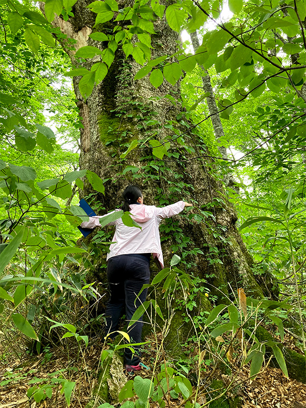 大白川の写真④